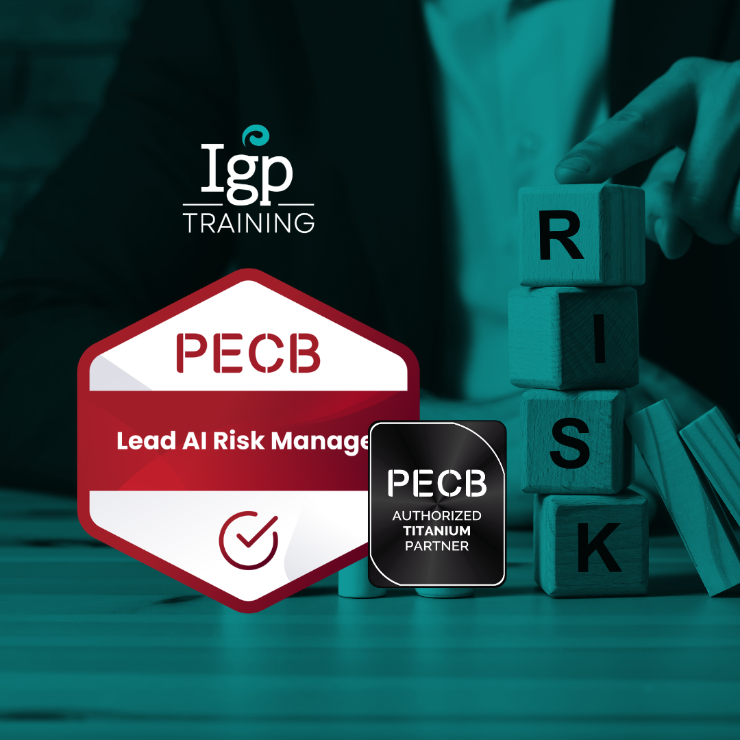 Lead AI Risk Manager