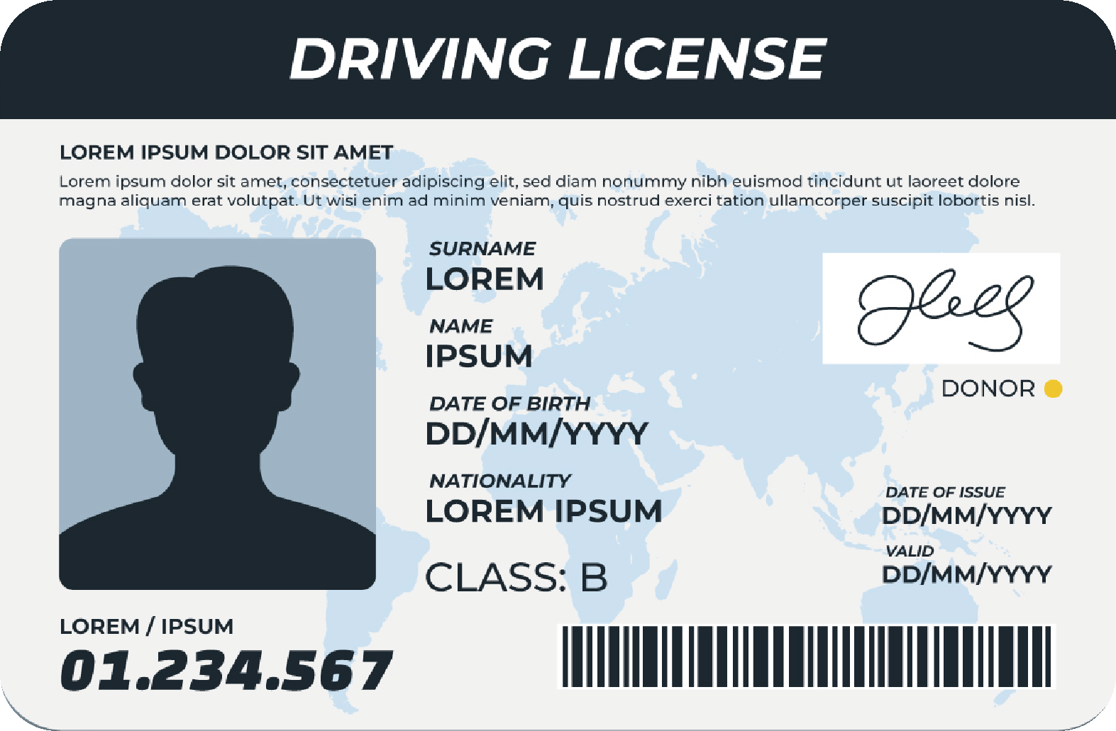 Licencia de conducir traducida NAATI