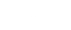 Logo de VEINCO